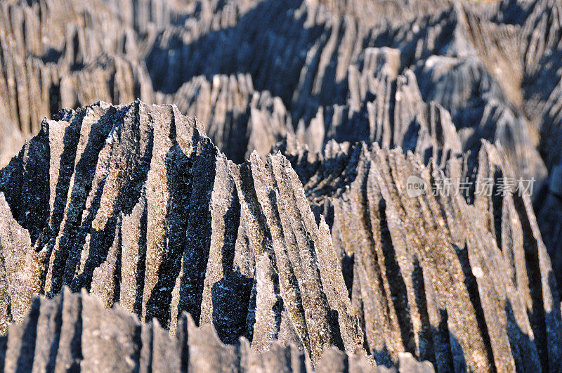 马达加斯加的Tsingy de Bemaraha